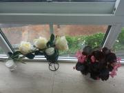 Apartamento TEO