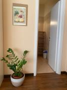 Top Villanova dʼAlbenga