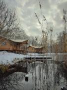 Top Drzewce Top Drzewce