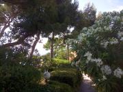 Top Saint-Mandrier-sur-Mer