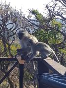 Top Buffelspoort