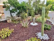 Top San Antonio