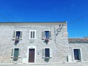 Top Monti