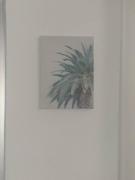 Top Santiago de los Caballeros