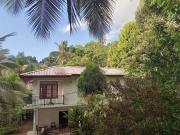 Jungle Village Homestay