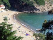 Top Capoliveri