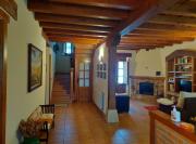 Top Cicera Top Cicera