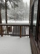 Top Truckee