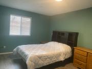 Top Colorado Springs