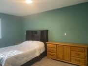 Top Colorado Springs