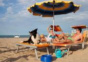 Sovrana Beach Hotel - Pet Friendly - Breakfast until 12 - Parking