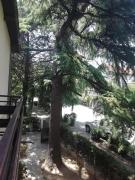 Top Gevgelija
