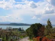 Top San Feliciano Top San Feliciano