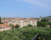 Top Cres