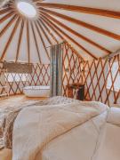 Estancia Las Araucarias