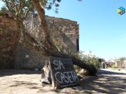 Top Lloret de Vistalegre