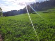 Top Rokytnice nad Jizerou