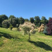 Top Villafranca-Montes de Oca