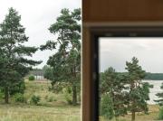 Top Bożepole Królewskie