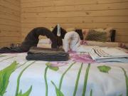 Карпати котедж Анастасія