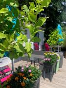 Top Sainte-Marie-de-Ré