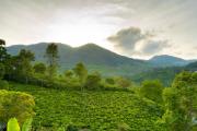 Top Coonoor