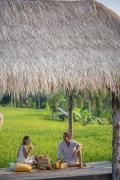 Top Ubud