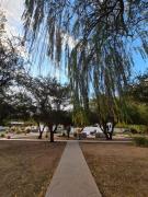 Top Pisco Elqui Top Pisco Elqui