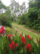 Ben Nevis Guest House