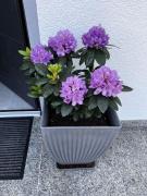 KLIMATISIERTE schöne 110 qm große moderne und helle Wohnung