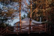 Jurty z widokiem, prywatna balia- DZIKOLAS GLAMPING