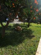 Top Caronia Marina Top Caronia Marina