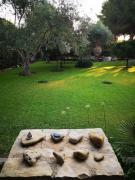 Top Kalamákion Top Kalamákion