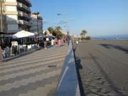 Top Torrox