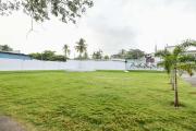Top Mysore