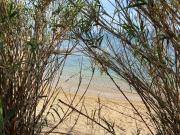 Top Protaras