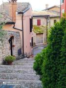 Top Cavaion Veronese Top Cavaion Veronese