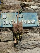 Top Concarneau