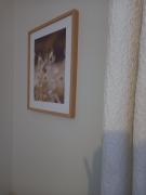 Top Saint-Bonnet-en-Champsaur