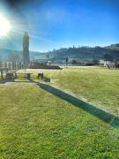 Top Barcani