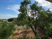 Top Pernes-les-Fontaines