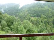 Studio 28m² avec piscine, balcon, parking - St-Jean-dAulps - FR-1-573-88