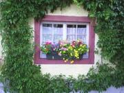 Top Rickenbach Top Rickenbach