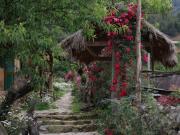 Hmong Cổ Trấn Sapa Homestay & Restaurant