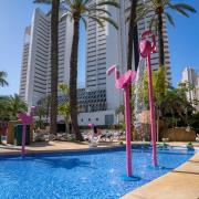 Top Benidorm