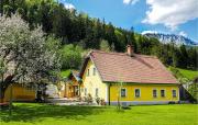 Top Mürzsteg
