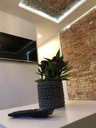 Old Town Deluxe Apartment