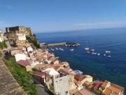 Top Scilla Top Scilla