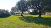 Top Ostuni