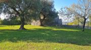 Top Ostuni